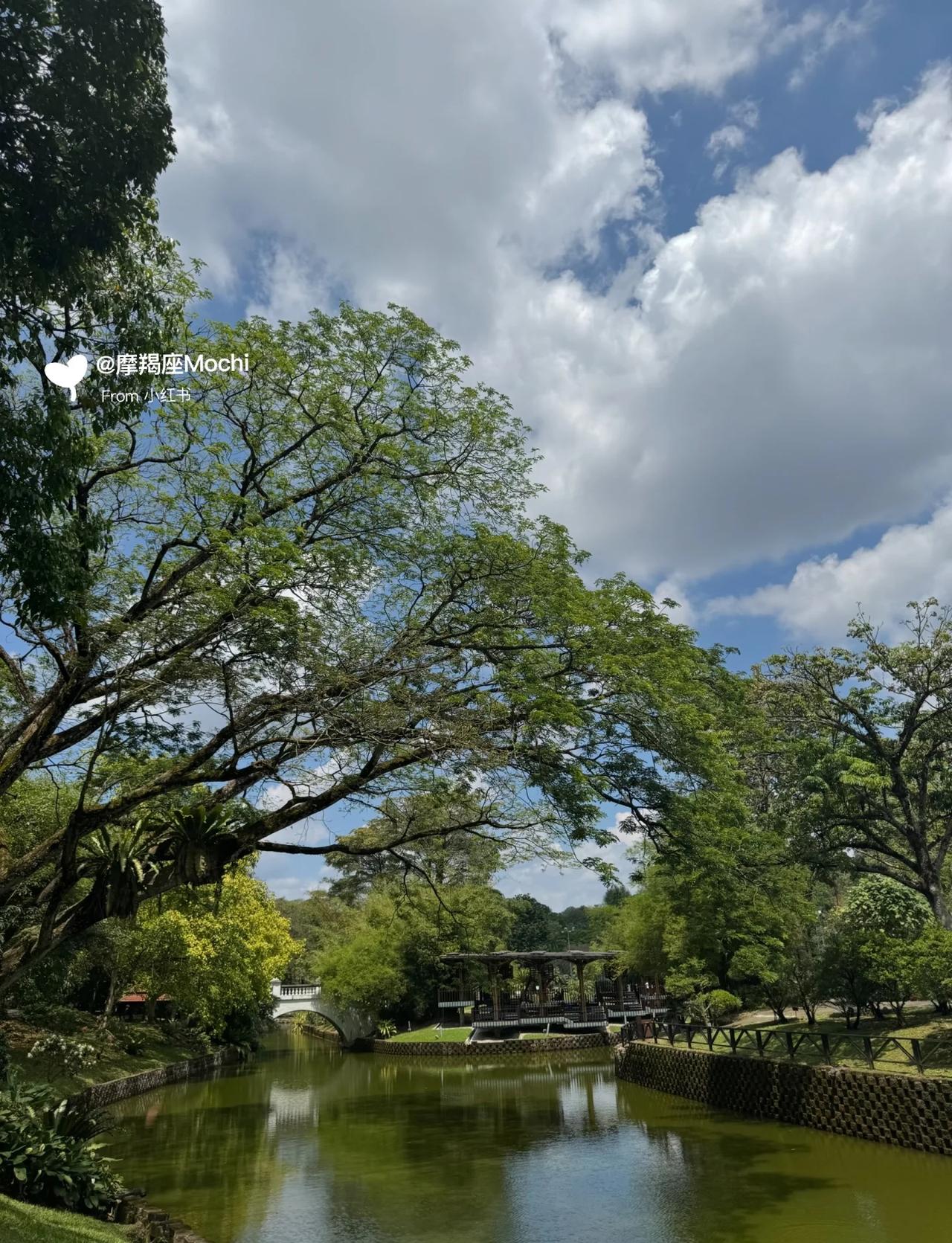 🇲🇾周末晨运好地方！
这里适合运动，跑步！每个星期都会来这里晨运🩵
风景也