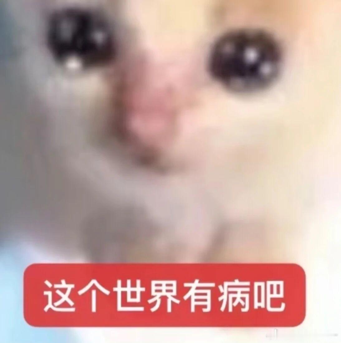 为什么你们上高中填志愿啊我考中考的时候没填过志愿