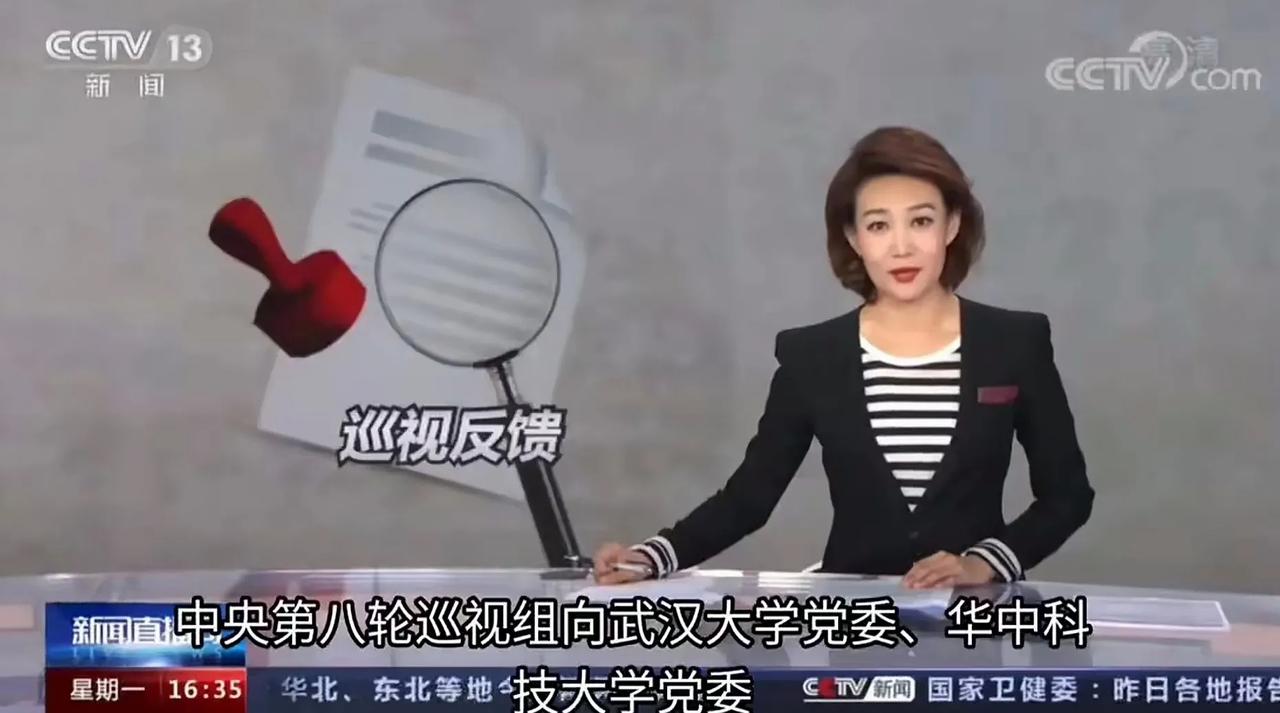 武汉大学早已被央视点名了，问题确实不少。

服务国家重大战略需求使命感不强，重点