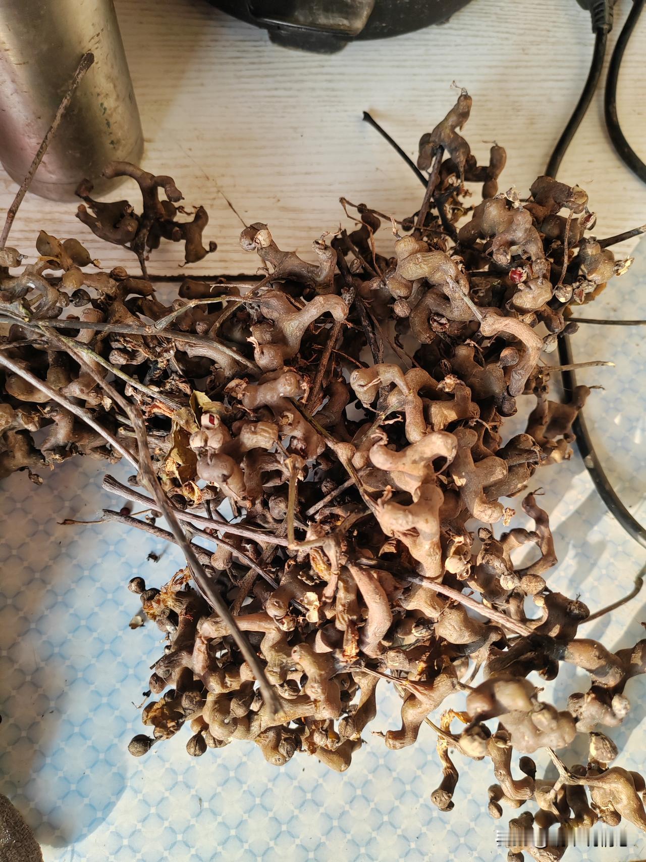 那些不会好好说话的家庭成员，真的很讨厌！

晚上吃完饭，老妈在门口没看见她的三轮