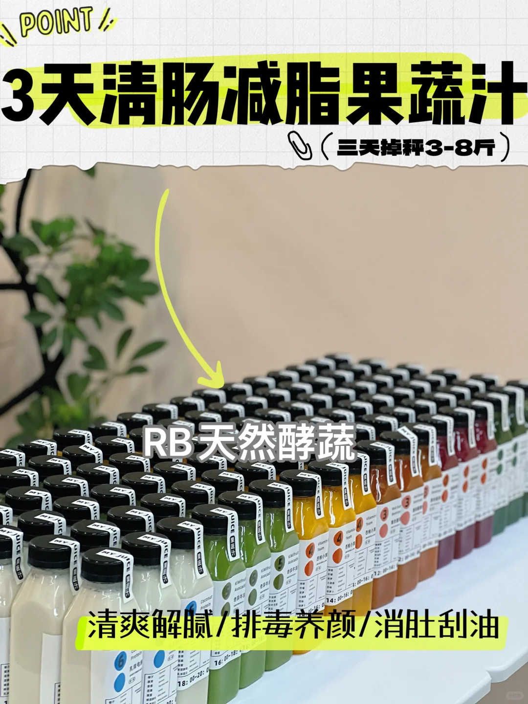 轻断食｜夏天怎能少得了它！