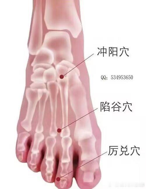 冲阳穴　和胃止痛，通络宁神【位置】在足背最高处，第2跖骨基底与中间楔状骨关节处，
