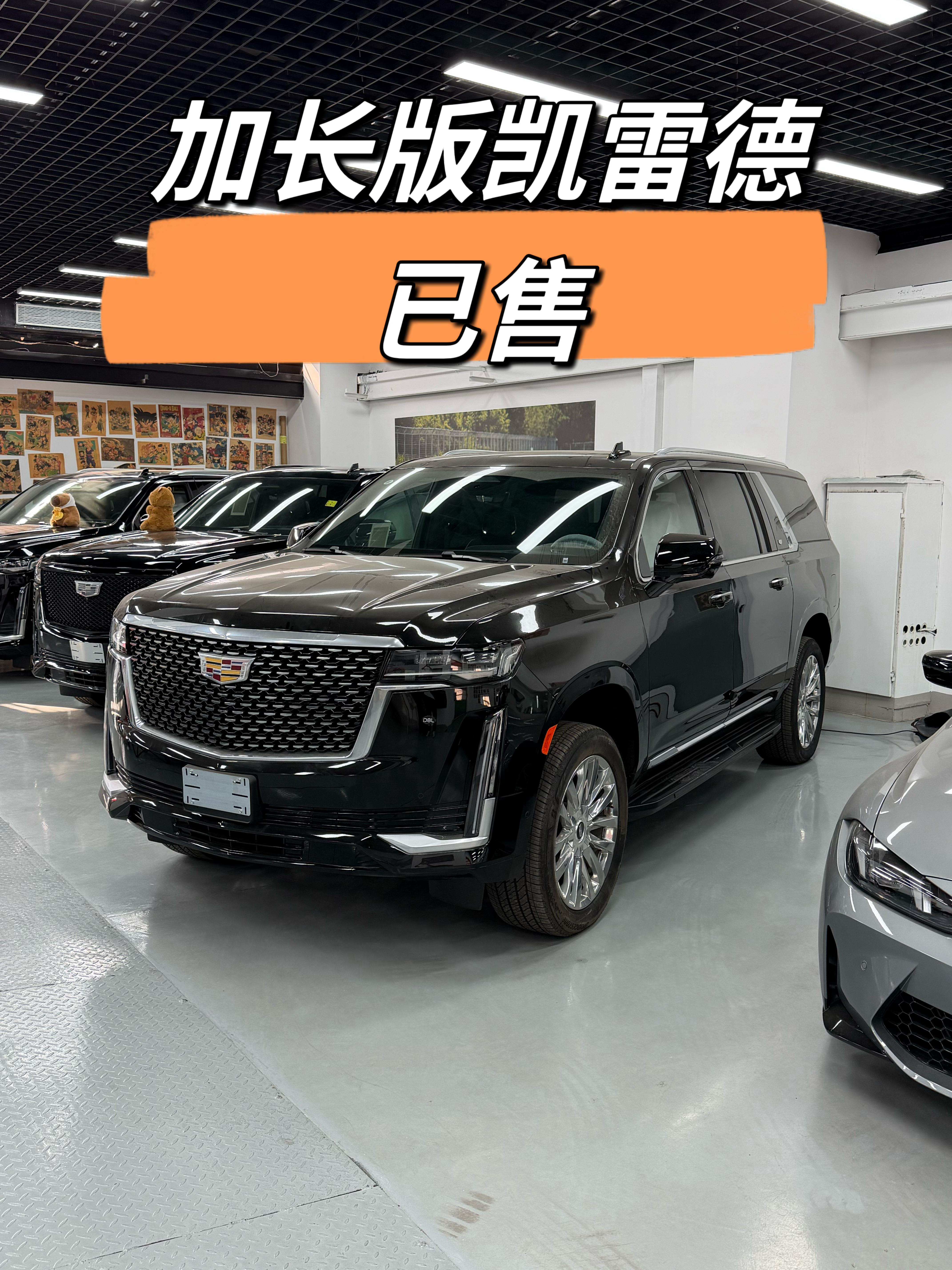 加长版凯雷德已售加长版已售罄还有标轴轴距顶配 天津·中国天津自由贸易试验区
