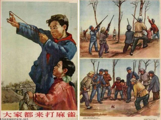 分享图片 ​​​