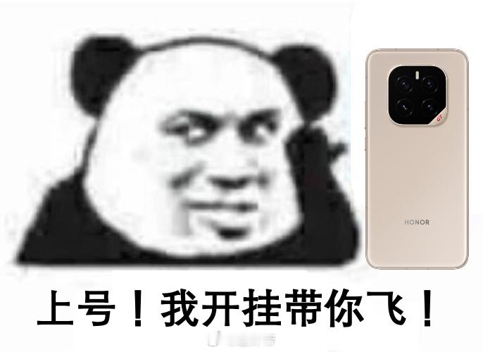 荣耀GTPro配置强如开挂荣耀GT Pro这次在性能上确实下了硬功夫。搭载的骁龙