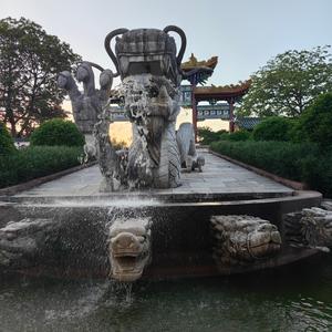 南枝灼华花