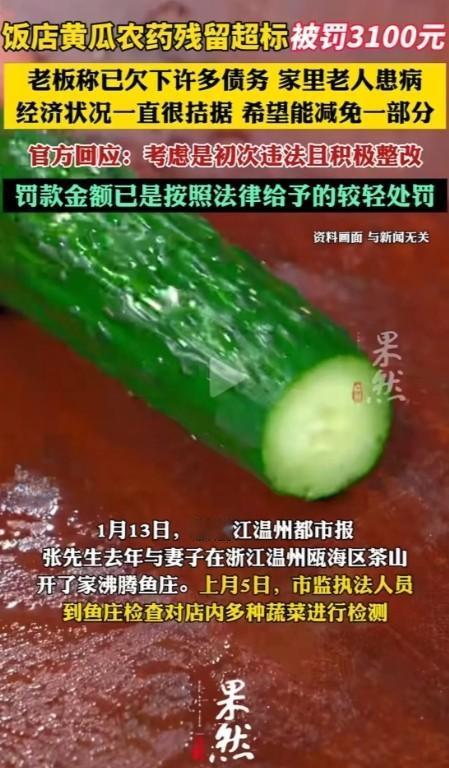 浙江温州，饭店黄瓜农药残留超标被罚3100块钱，老板不服：“黄瓜不是我种的，要罚