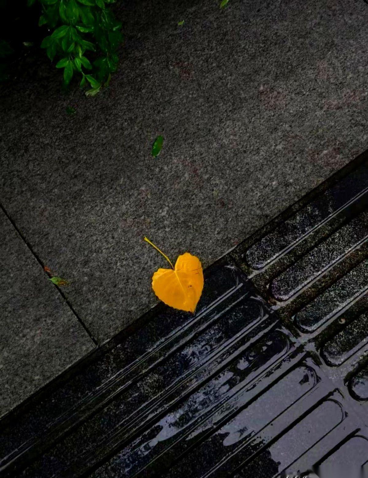 就一个感冒。
真的，就一个普普通通的感冒，把我们小区那个天天甩鞭子、声如洪钟的李