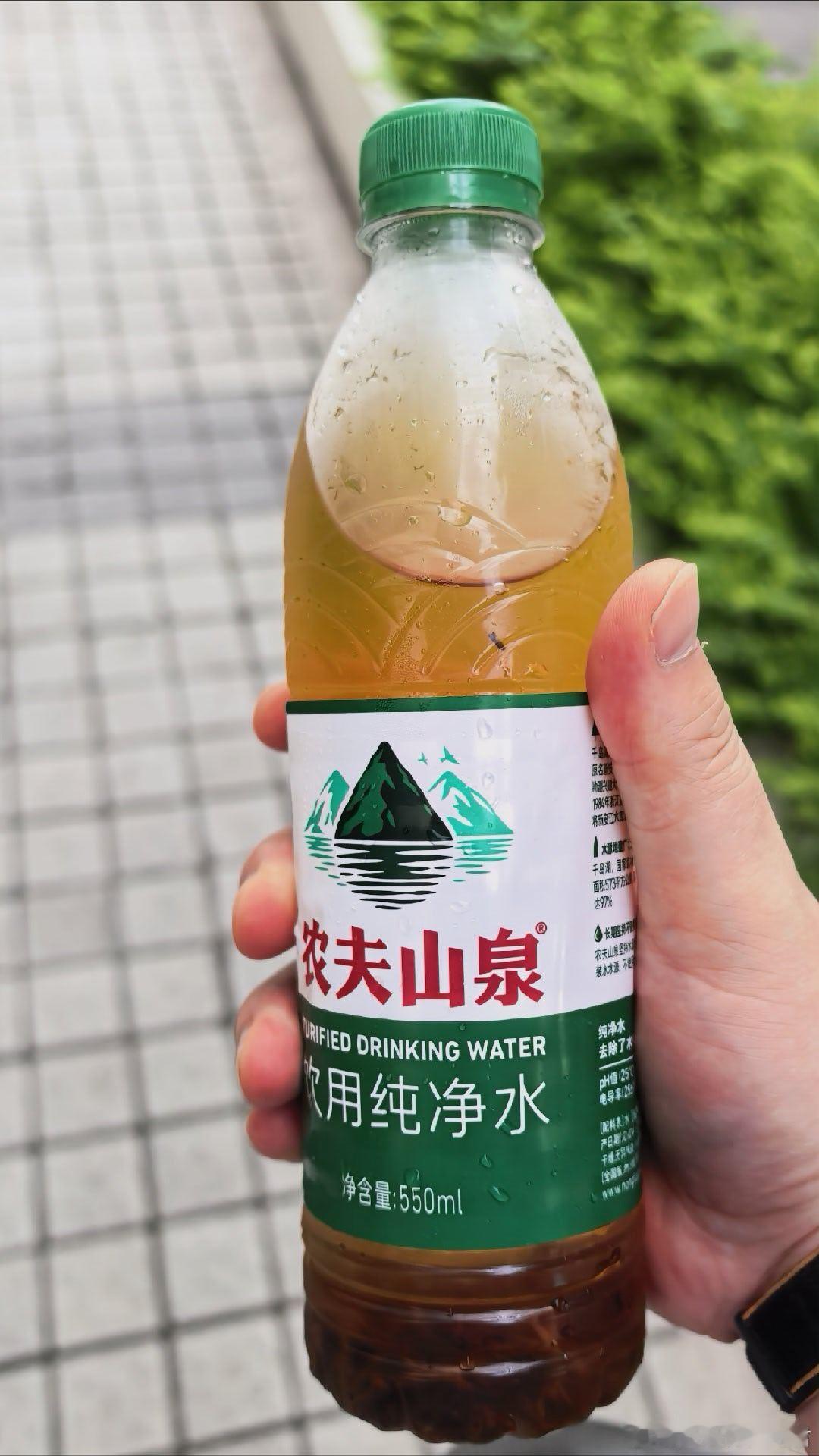 金骏眉冷泡茶 