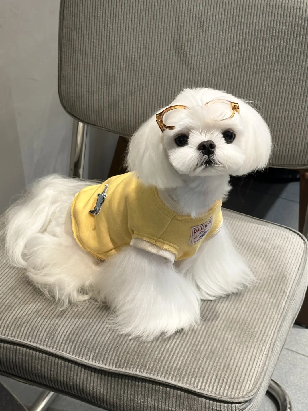 不是，你荷包蛋啊🍳