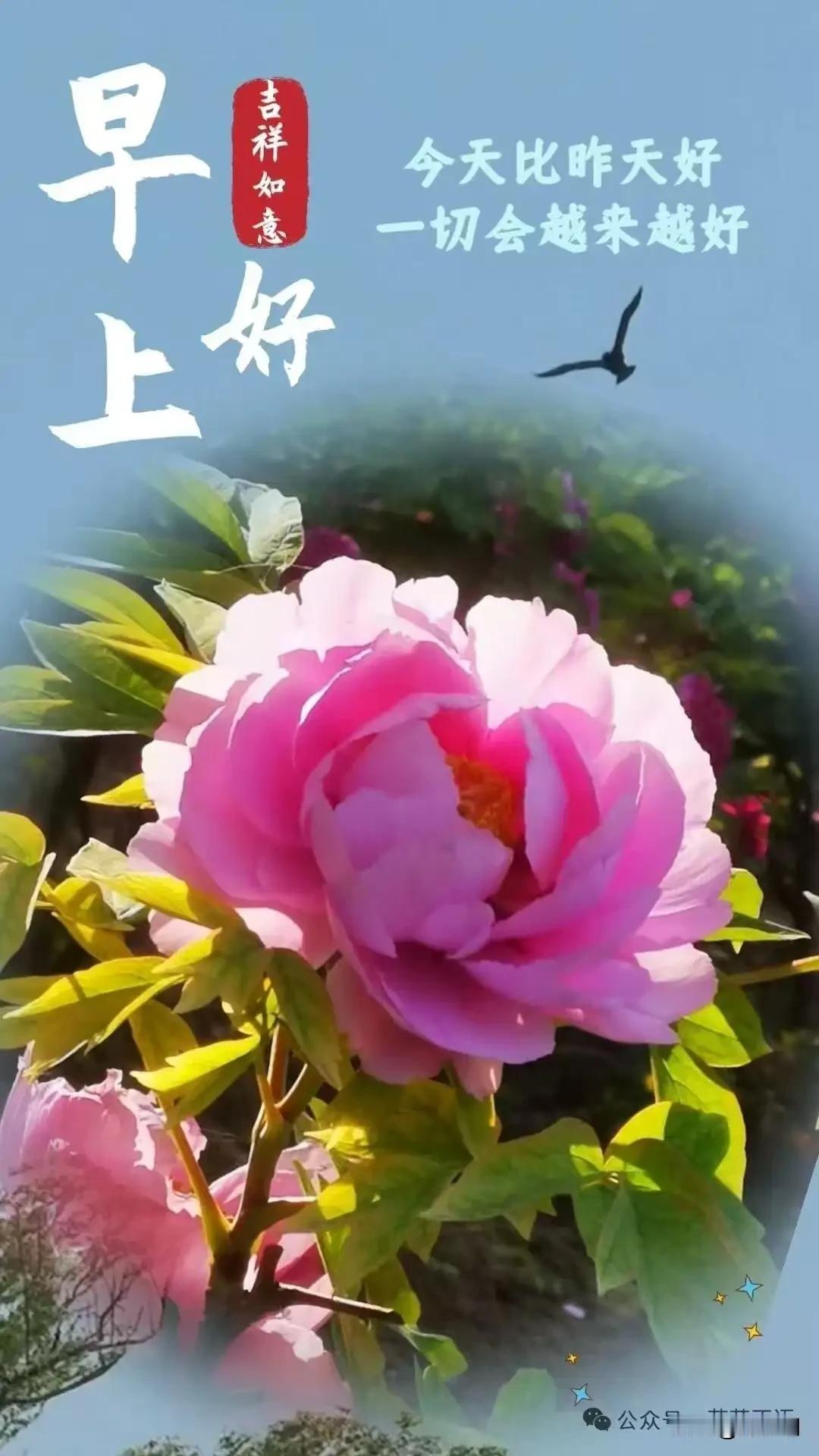 日子不必太拥挤，留三分空白给风，给月光，给偶然的顿悟。我们都在自己的时区里跋涉，