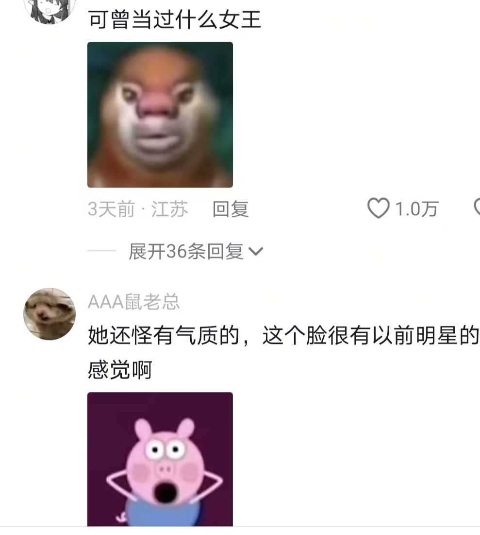 几十块钱的报纸做出了几十万快衣服的感觉 