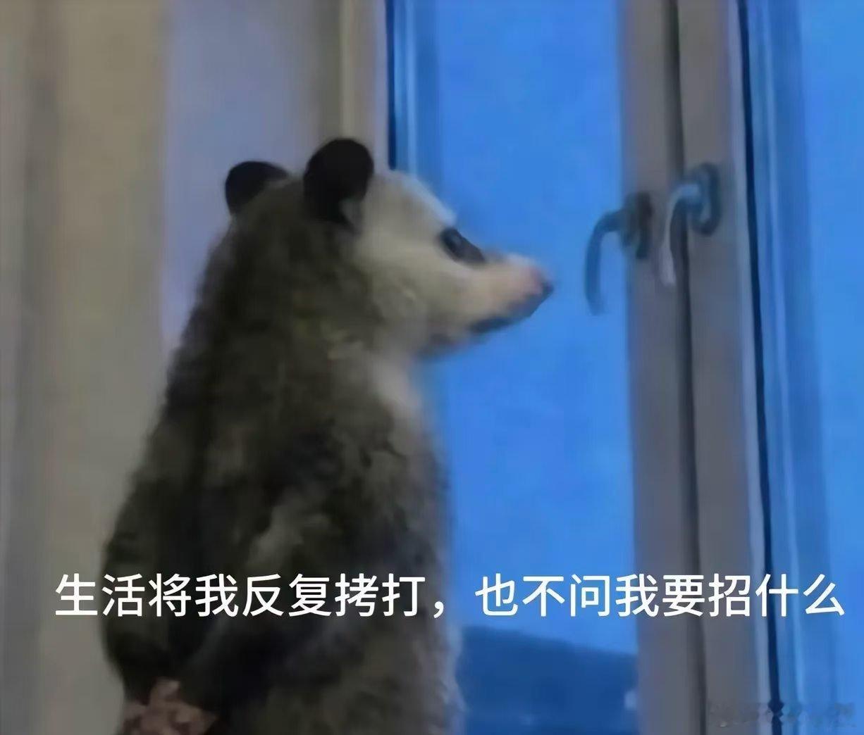 新能源汽车下乡车型名单公布要说下乡车型还得是纯电老头乐小县城哪都能到风吹不着雨淋