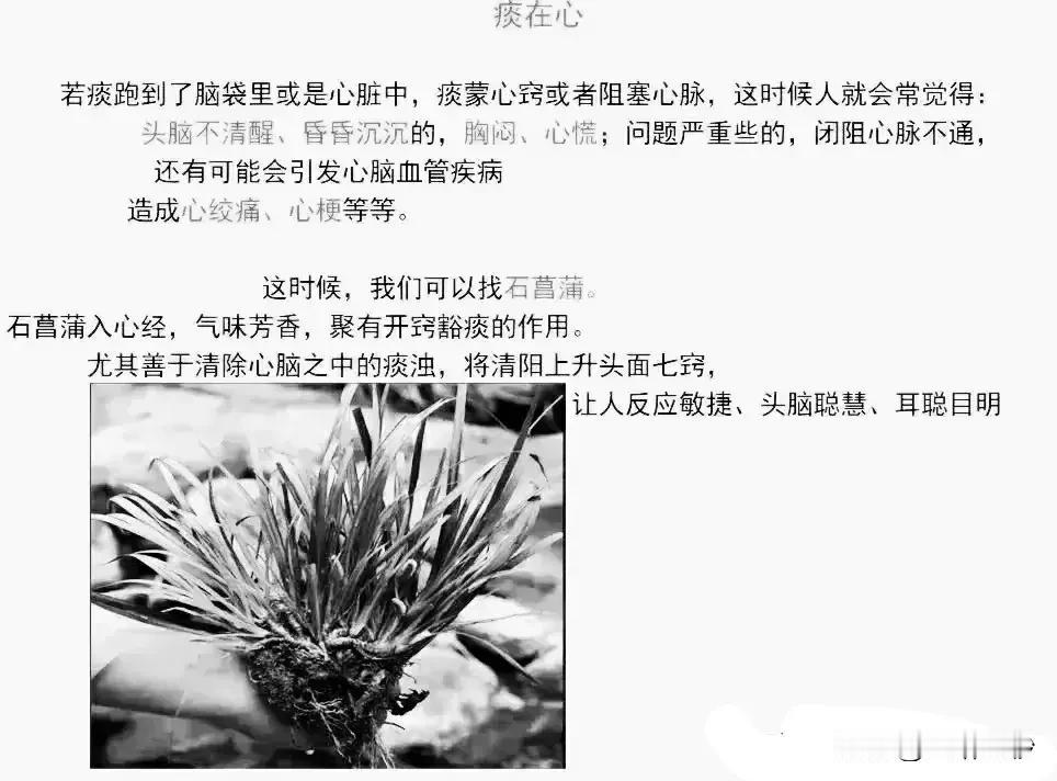 痰在身体各部位的影响及应对方法

痰，这个看似微不足道的小东西，如果跑到了身体的