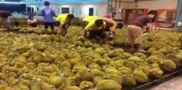 失去中国市场后，大量水果烂在地里卖不掉，现在开始后悔得罪中国。
 
中国是全球水