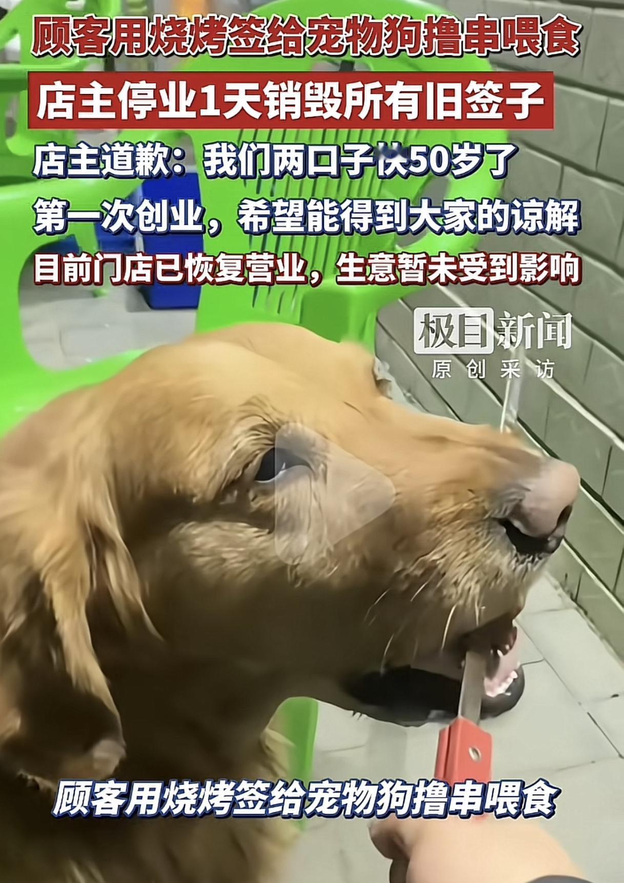 顾客用烧烤签给狗撸串后美美隐身，店主却要替她道歉停业销毁所有食材。
5月1日内蒙