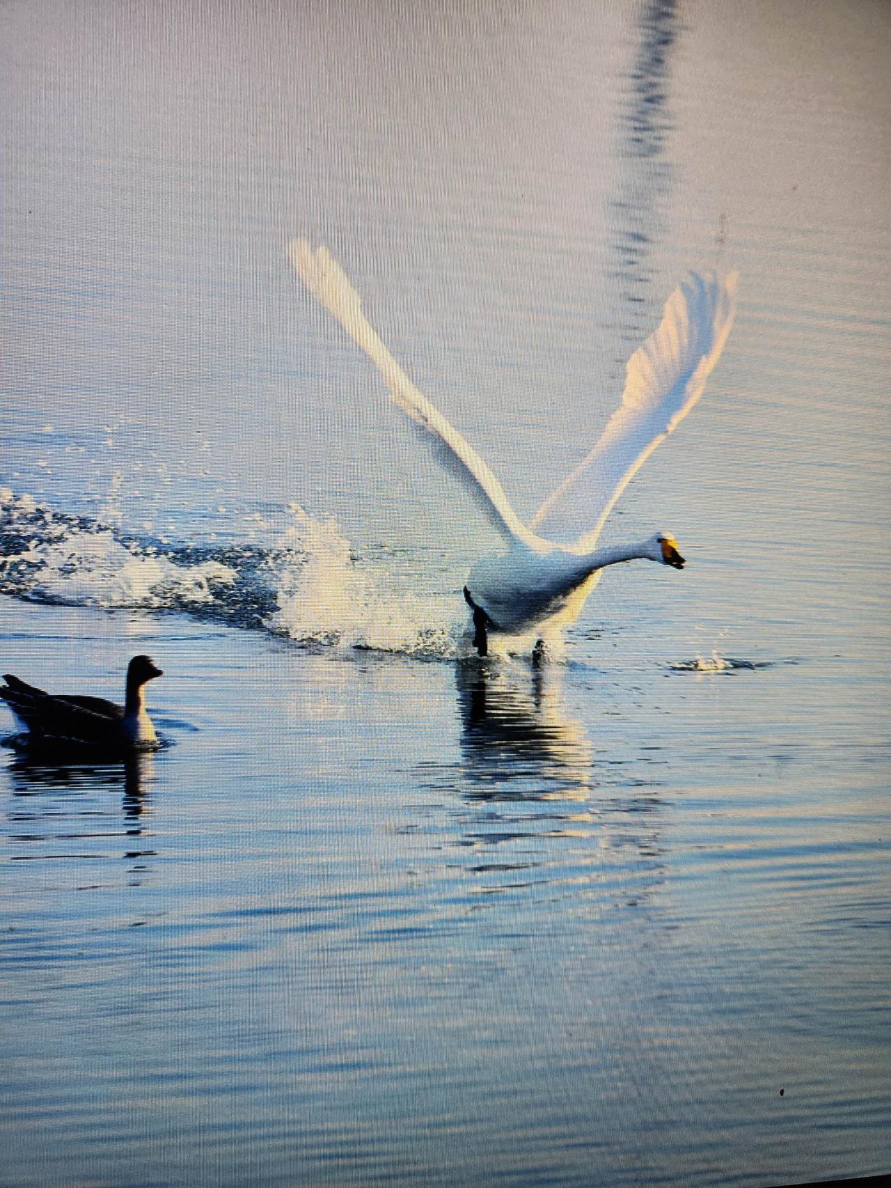 骂得好 旅行摄影的诗意瞬间 旅行摄影的诗意瞬间