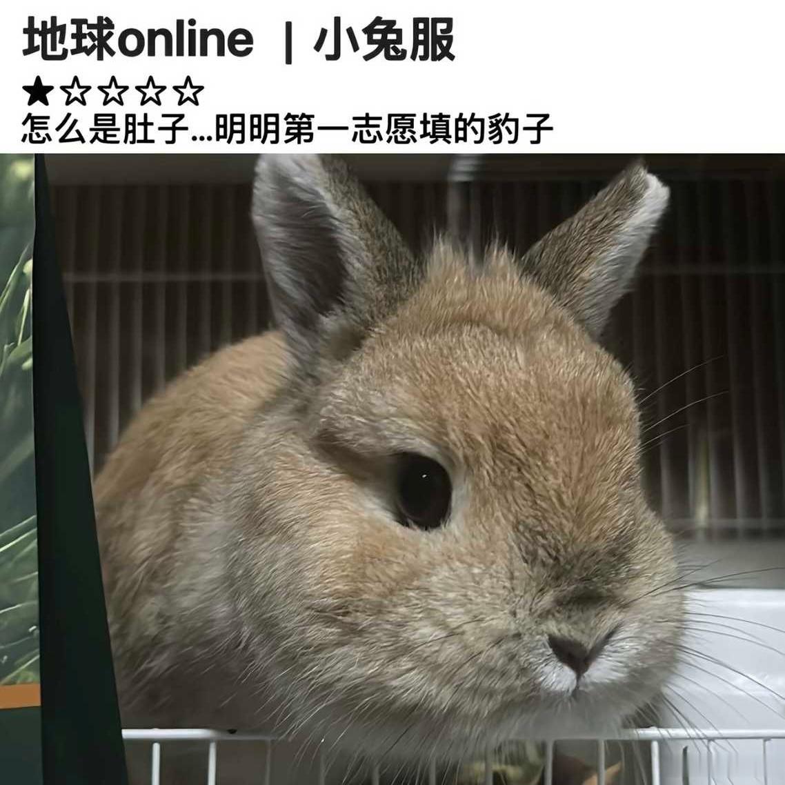 16095受概念 