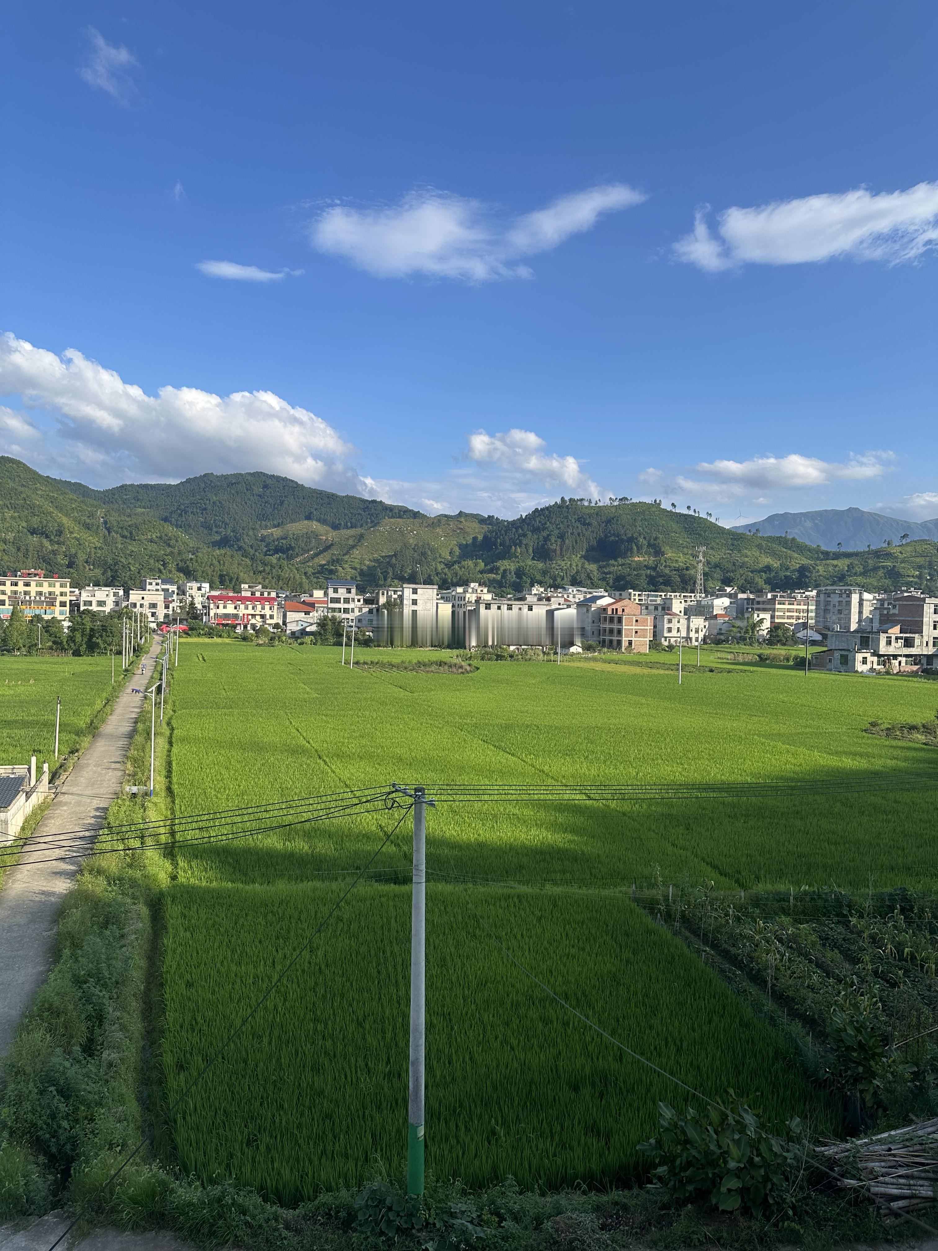 在外面好好挣钱吧，江西老家我替你们回了。 