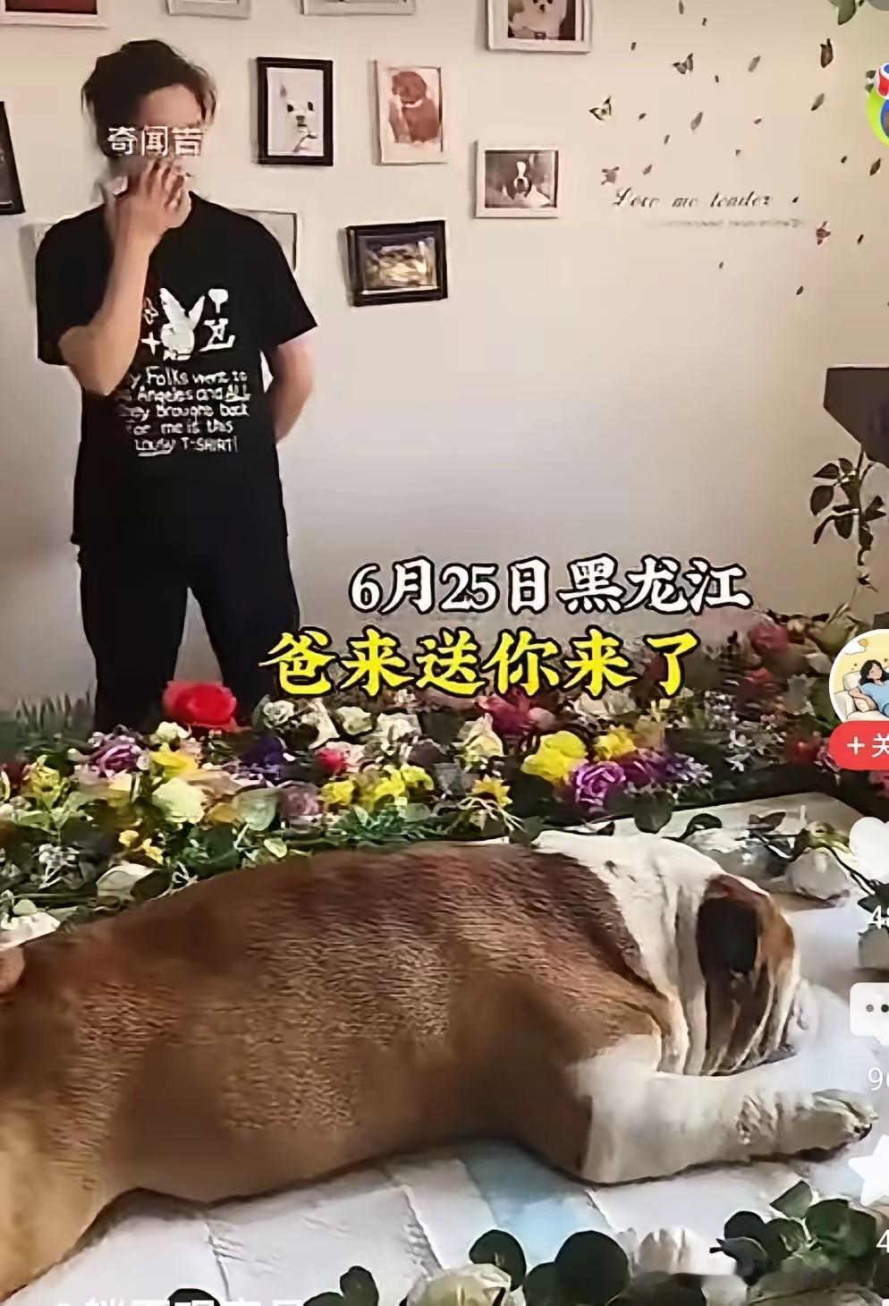 一家人最爱的狗狗死了！

一家人为了表达自己的哀思，为狗狗设置了灵堂，全家痛不欲