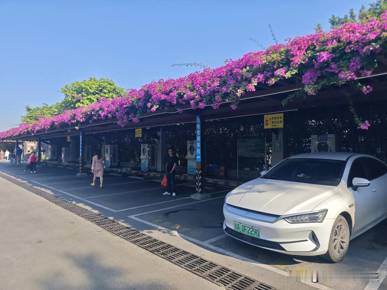 南宁最漂亮的充电桩。
#在南宁租电池# #南宁故事车# #南宁小电驴之城# #百