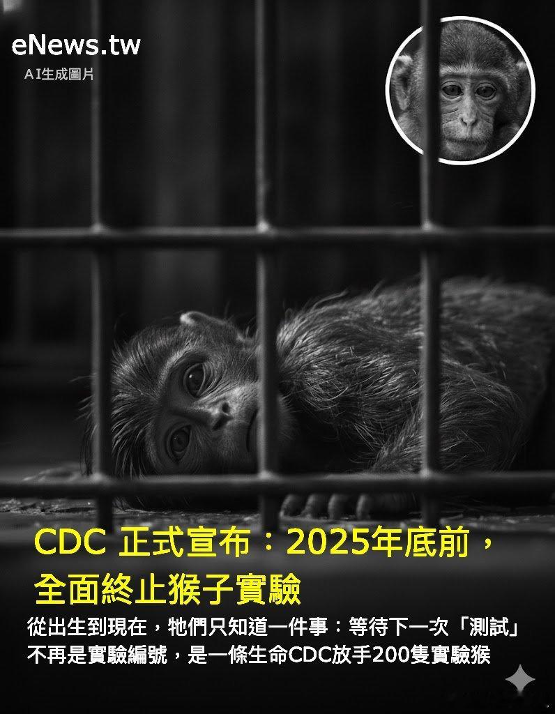 美国疾病管制与预防中心（CDC）宣布：将于2025年底前全面终止非人灵长类动物（