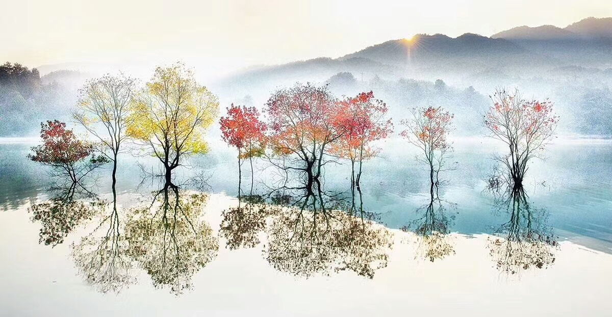 人生恰如三月花，倾我一生一世念。来如飞花散似烟，醉里不知年华限。———纳兰性德
