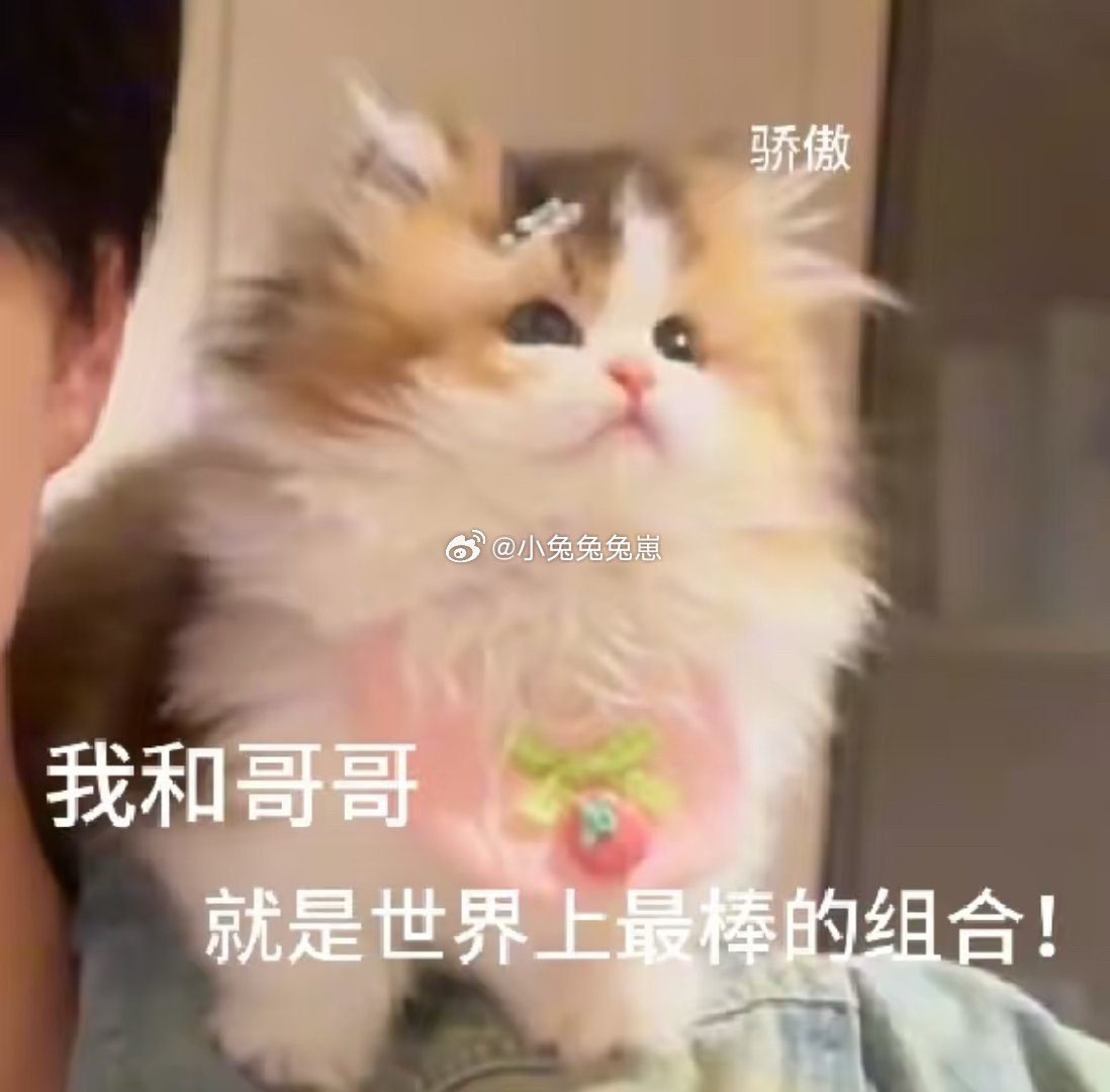 我和🐺的默契已经到不用说话就懂对方的意思我超喜欢抱着🐺睡觉，就那种侧躺然后摸