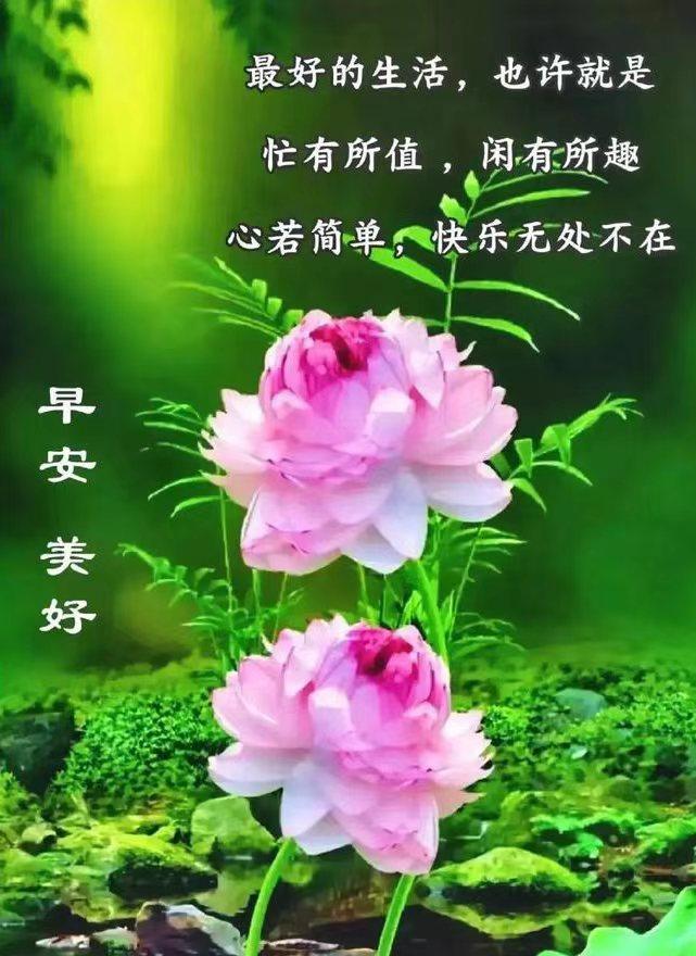 心简单，世界就简单
幸福才会到来；
心自由，生活就会自由，在什么地方都快乐。
有