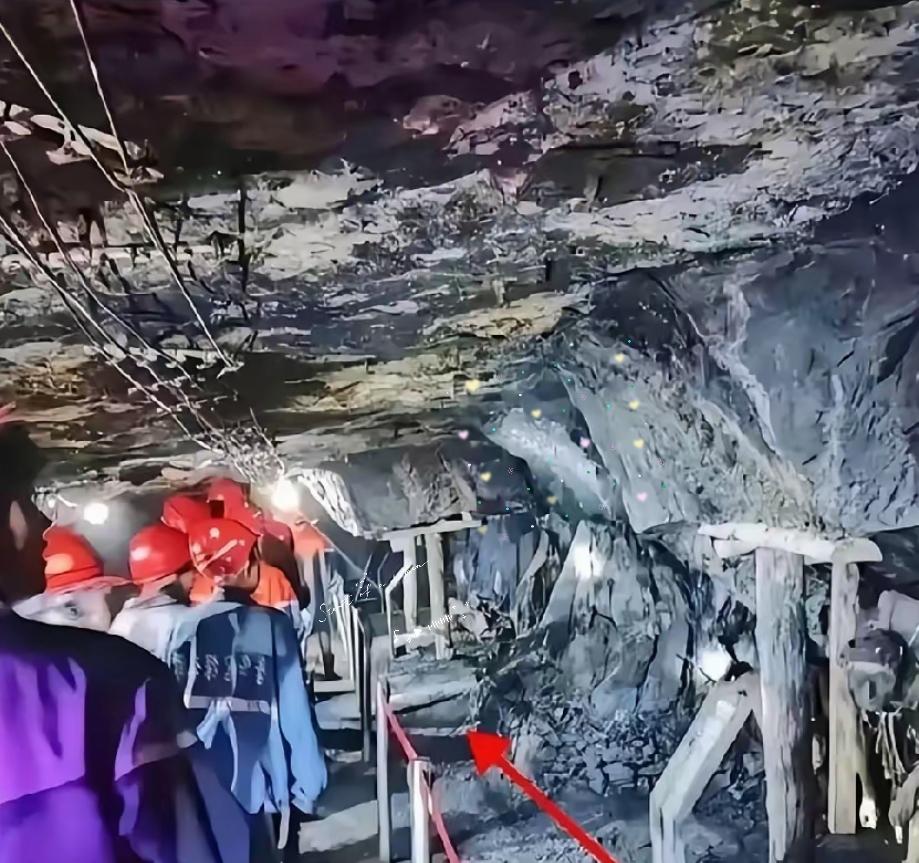 你们太小看煤老板了，
他们根本不害怕赔几个亿，
也不怕煤矿关停，真正让他们害怕的