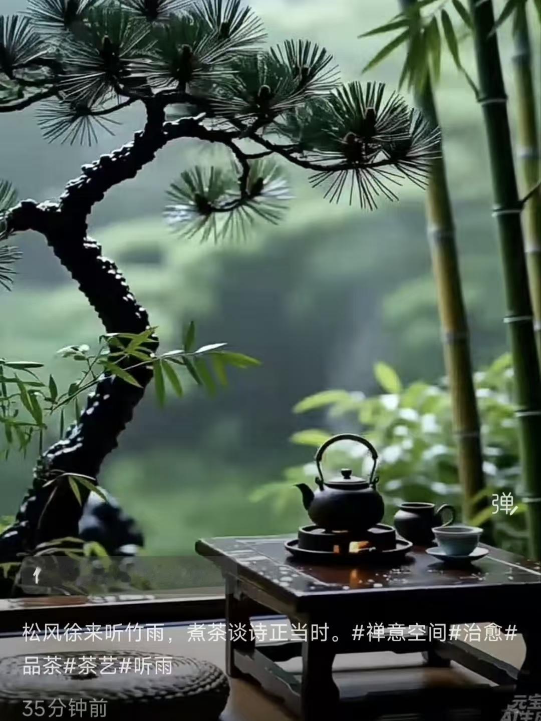 听雨
松风徐来听竹雨，
煮茶论韵正相宜。
尘嚣远隔心无扰，
一盏清欢入小诗。