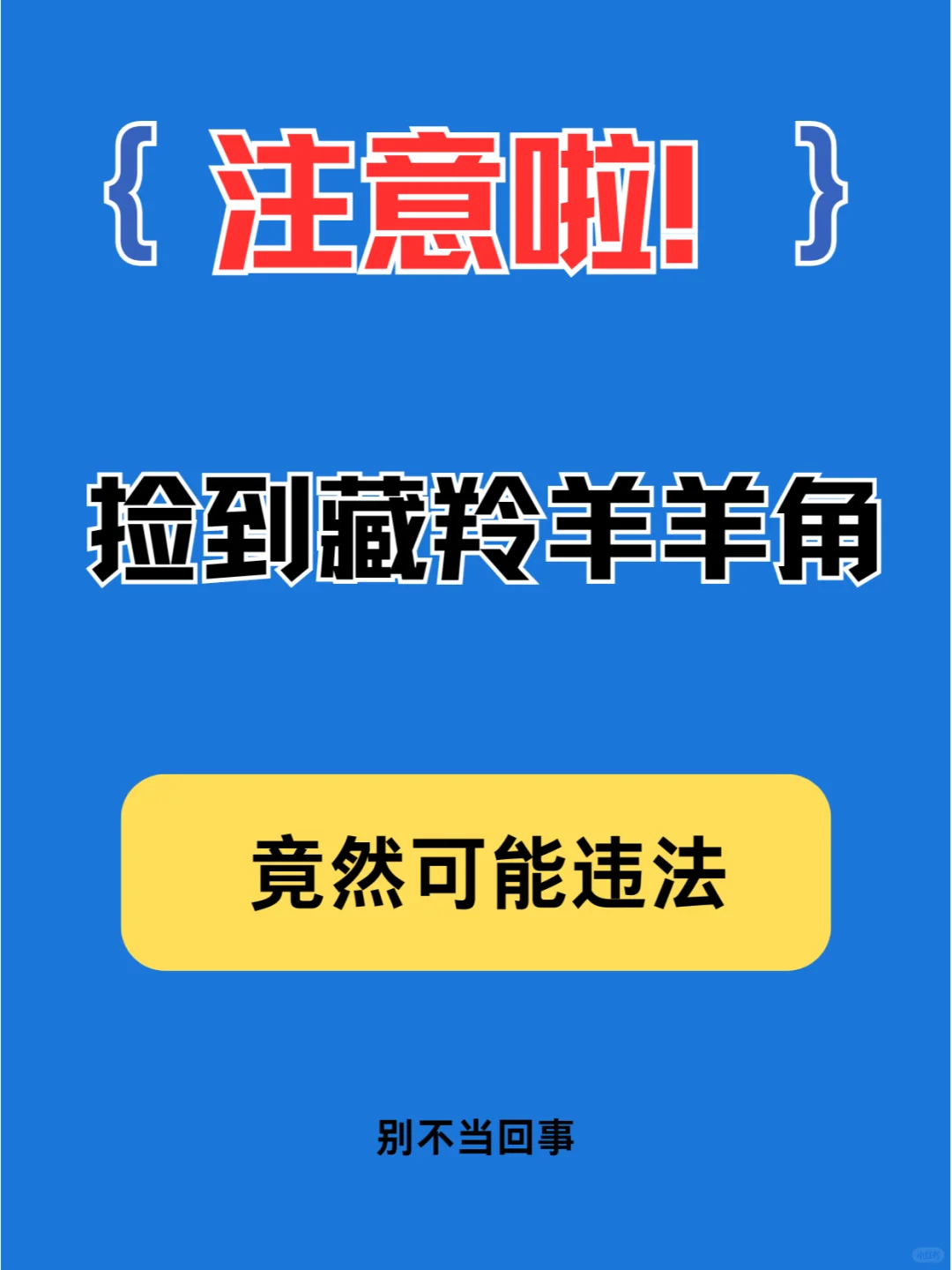 😱天！捡到藏羚羊羊角居然可能犯法！