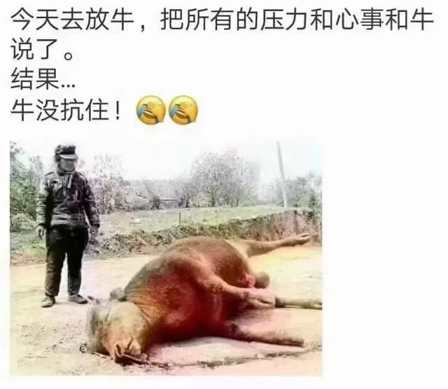 现在社会有压力的人太多了，记得看过一个调查，说我国抑郁症的发病率是相当高的，但是