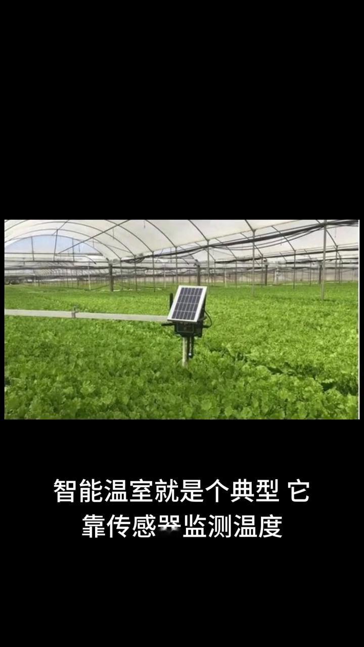 农业种植标准化有不少应用，智能温室就是个典型。它靠传感器监测温度、湿度、光照、二