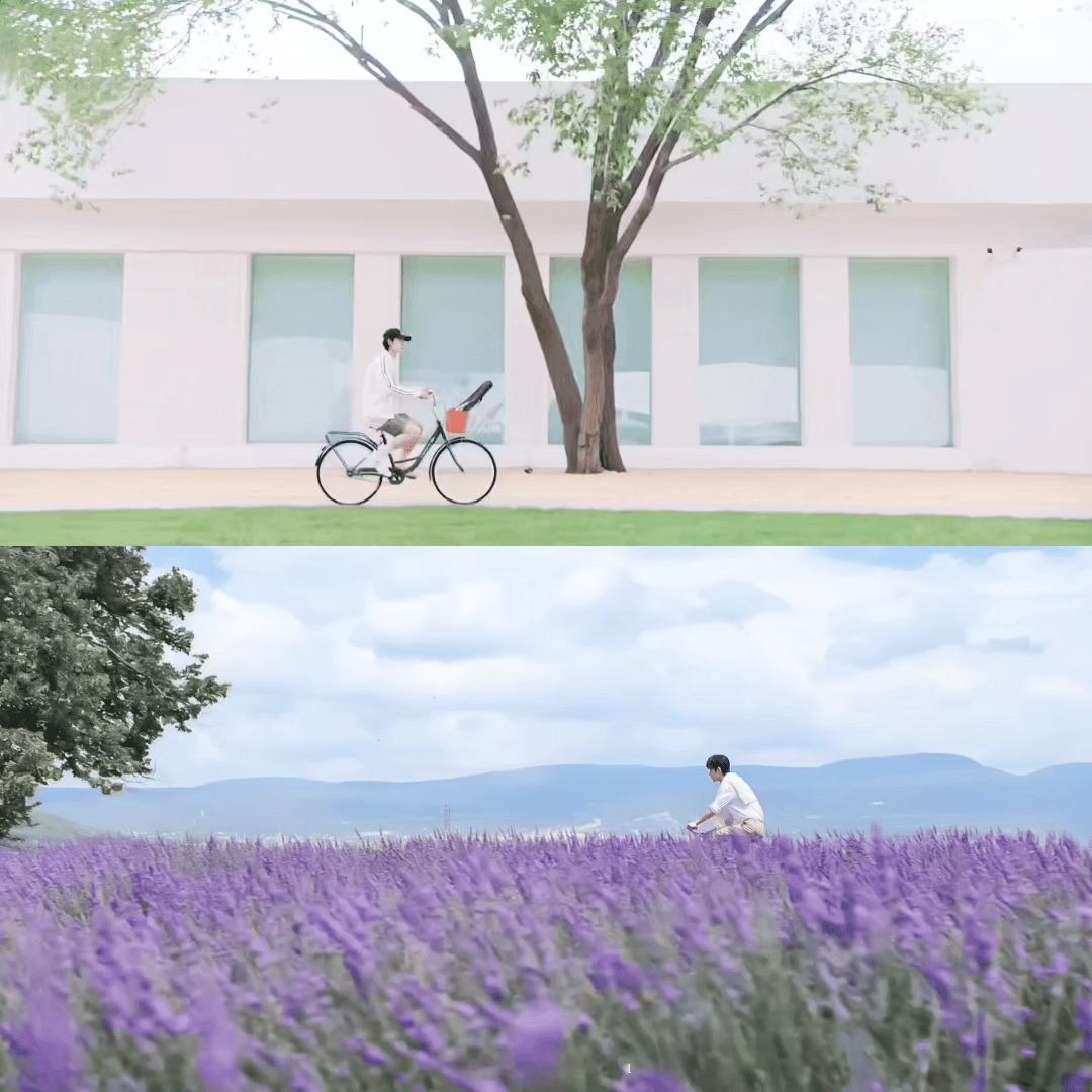 一场浪漫的🚲双向奔赴[awsl][awsl][awsl]博君一肖 喜欢的来互动
