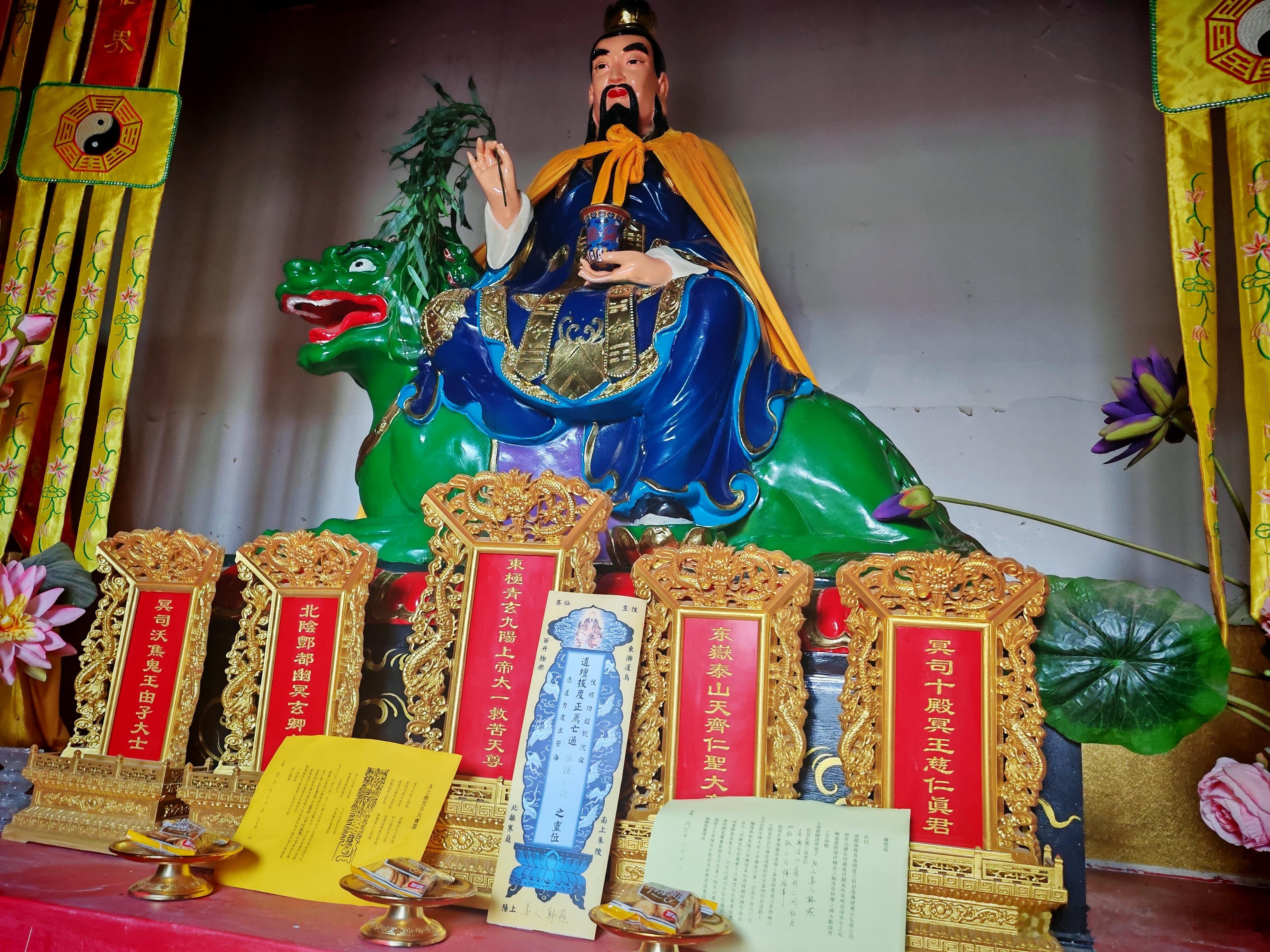 兹特超度青岛浮山公园流浪北极狐一只，周围居民昵称小白，相谐日久，有善人得知其前几