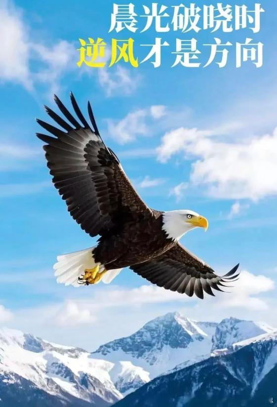 顺境养惰性，逆风炼筋骨。所谓强者，从不是被风推着走，而是顶着风，走出属于自己的航
