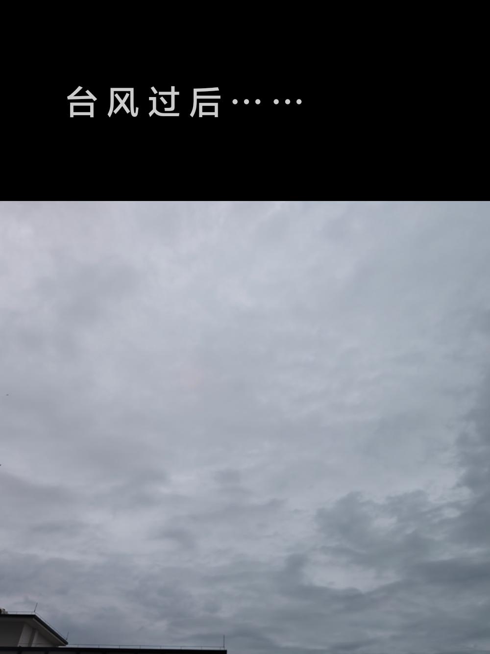 台风过后……
台风天宅家日常 台风天最想做的事 台风过后，天阴沉沉的，不知几时雨