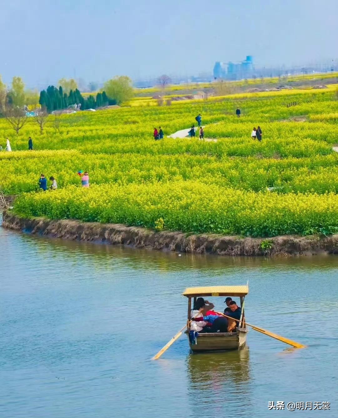 天南地北大拜年