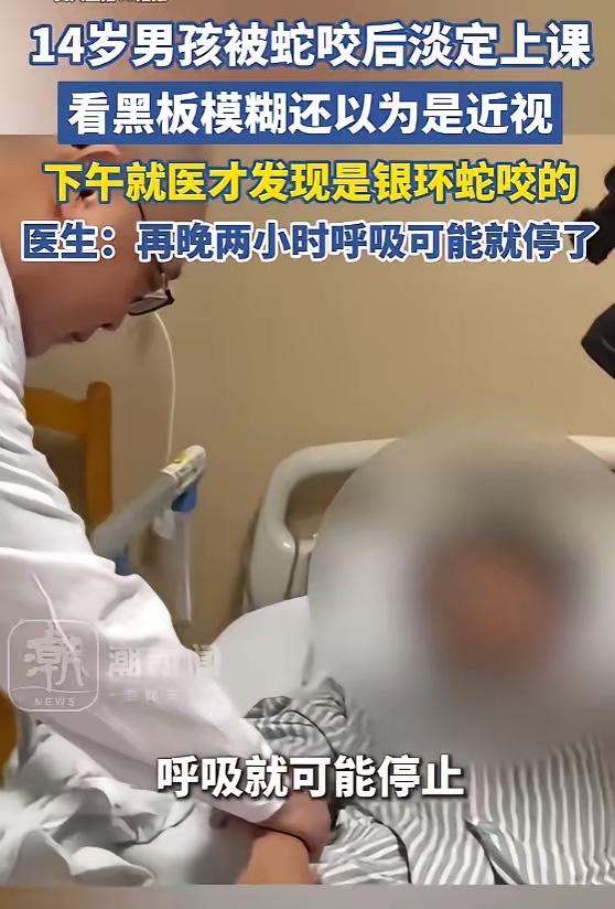5月15日报道，广东14岁男生在校园草丛被银环蛇咬，手臂仅留针尖大的牙印，未红未
