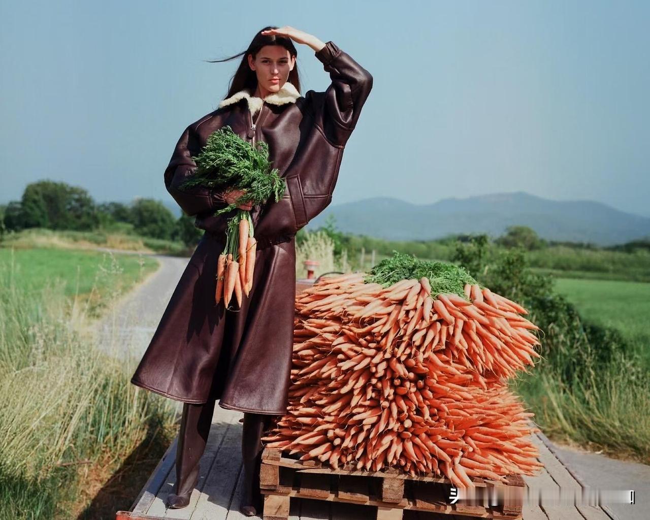 分享一下你随手拍下的照片