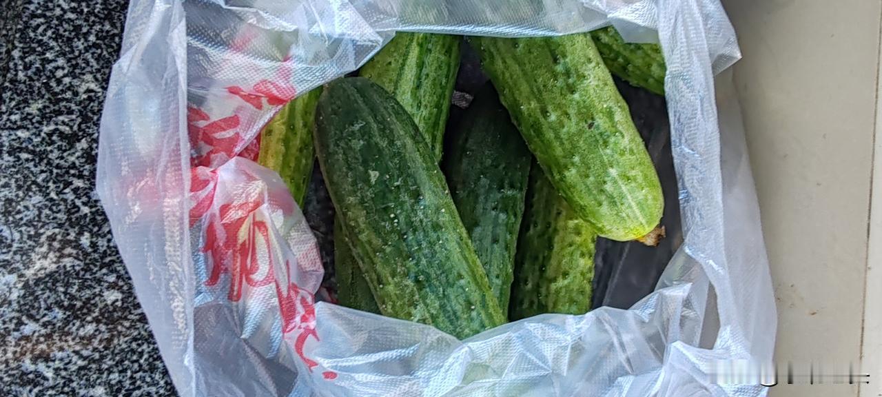 这就是今早上早市的蔬菜价格，
茄子10元8斤，
黄瓜10元8斤，
西红柿10元8