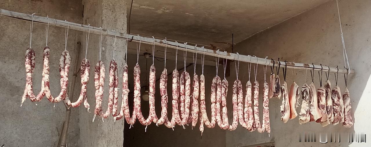 最近十年，特别是疫情之后，就是今年冬季的猪肉跌落了十元以下。今日买了五十多斤做腊