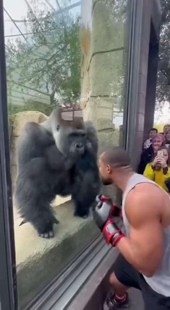 ·1、come on，taps on the hand。
·2、come on，