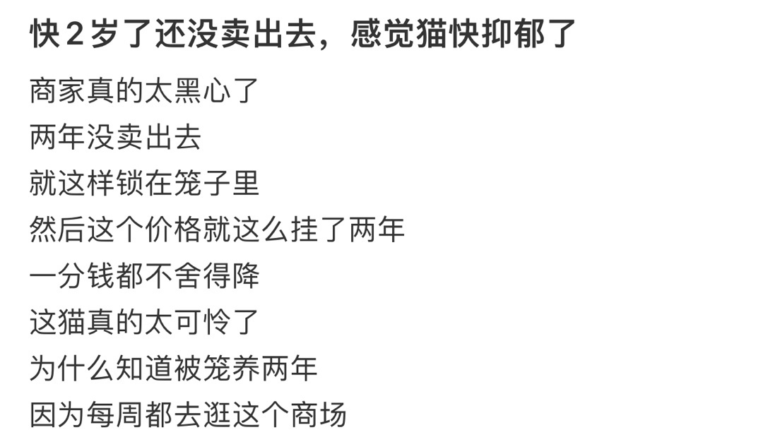 快2岁了还没卖出去，感觉猫快抑郁了[哆啦A梦害怕] ​​​