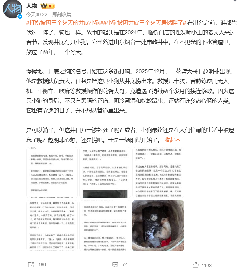 打捞被困三个冬天的井底小狗小狗被困井底三个冬天居然胖了  在崭露头角前，谁都有段