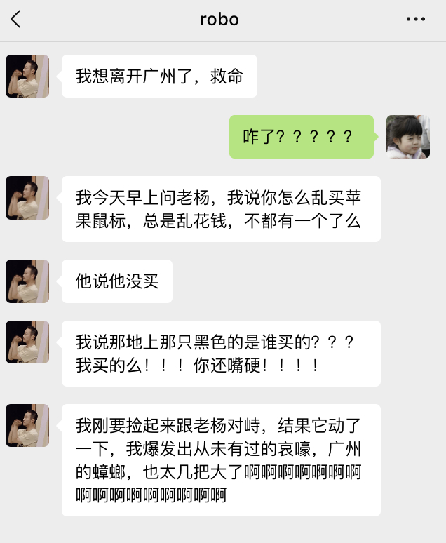 在广州，你甚至可以看到满地跑的黑色妙控鼠标。 