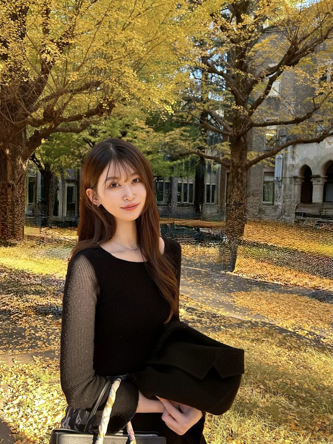 去东大看银杏的库存🍂