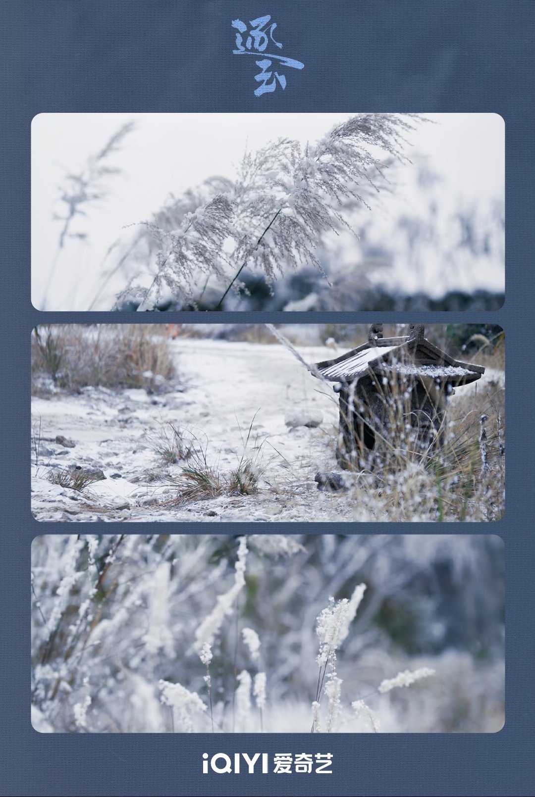 《逐玉》“山涧凝翠，霜染松枝；山影沉墨，硝烟漫卷，明暗交错里，写满了前路的未知与