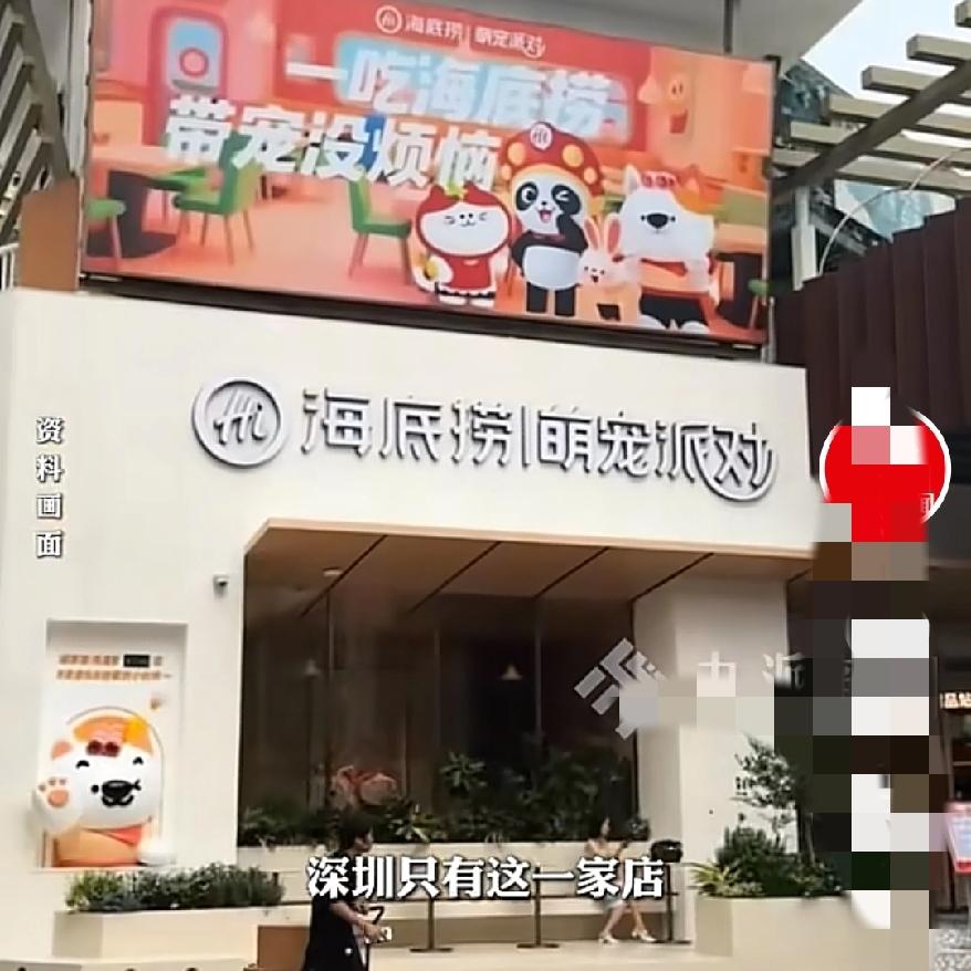 真的没想到啊
深圳海底捞
居然给宠物办生日派对，这波操作应该算是脑洞大开了吧。